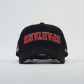 Tampa Spartans Suede Hat