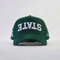 Michigan State Suede Hat