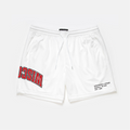 Wisconsin Mesh Shorts | Exclusive